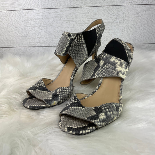 Snakeskin Print Shoes Designer Michael Kors, Size 9.5