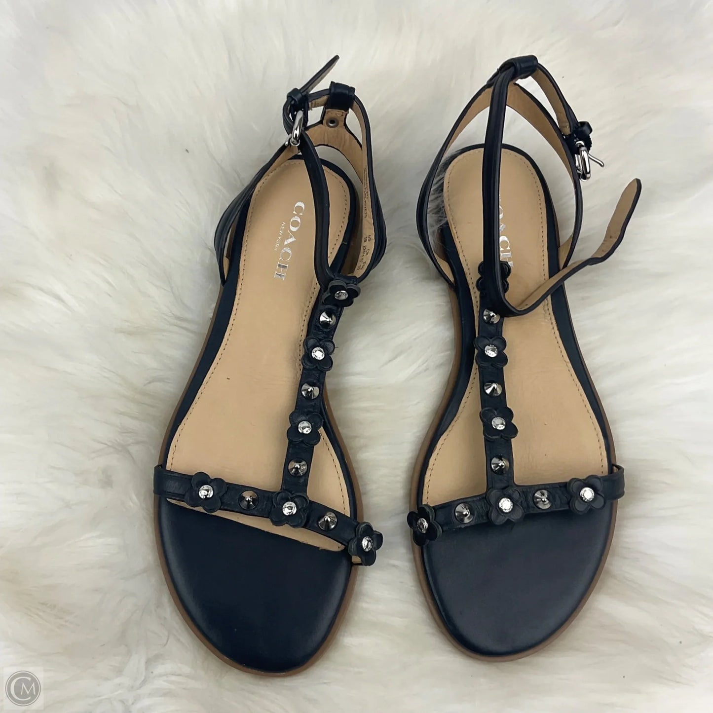 Sandals Designer By Coach In Navy, Size: 5