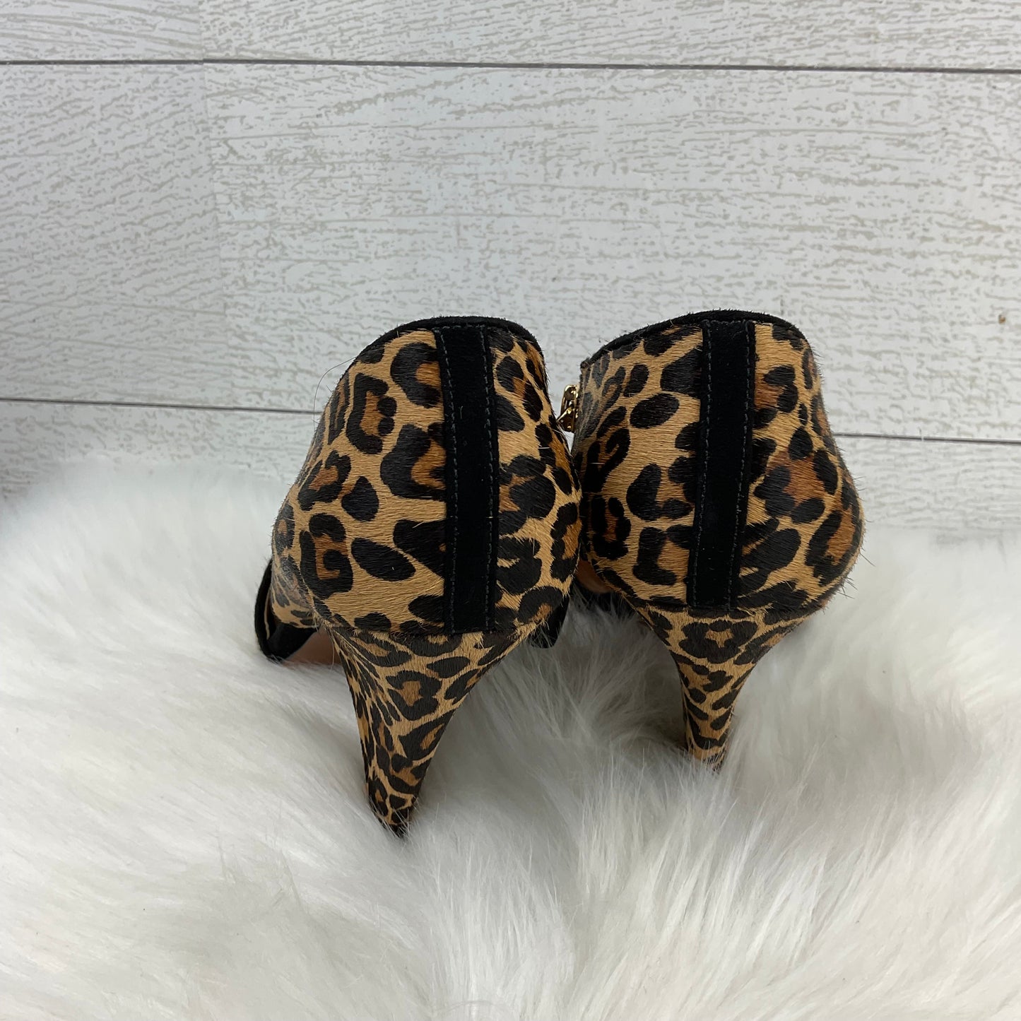 Shoes Heels Kitten By Nine West In Animal Print, Size: 5.5