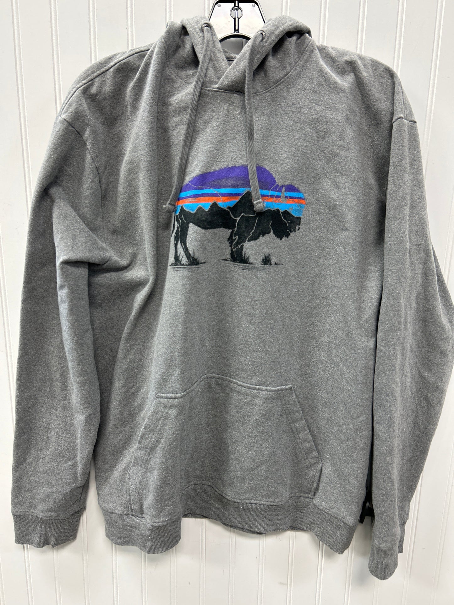 Sweatshirt Hoodie By Patagonia In Grey, Size:Xl