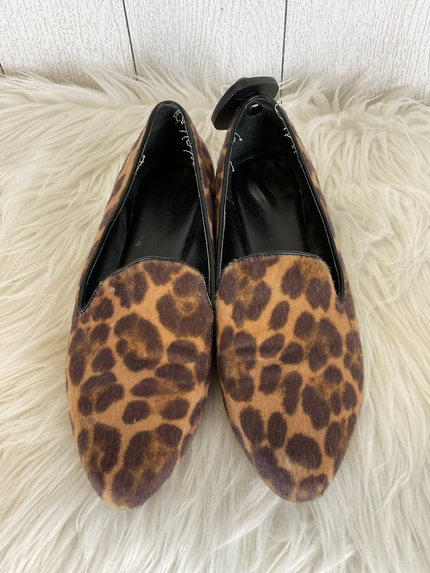 Shoes Flats By Nine West In Animal Print, Size: 6.5