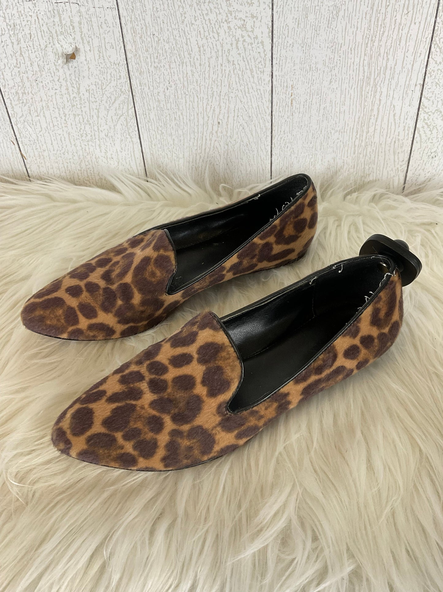 Shoes Flats By Nine West In Animal Print, Size: 6.5