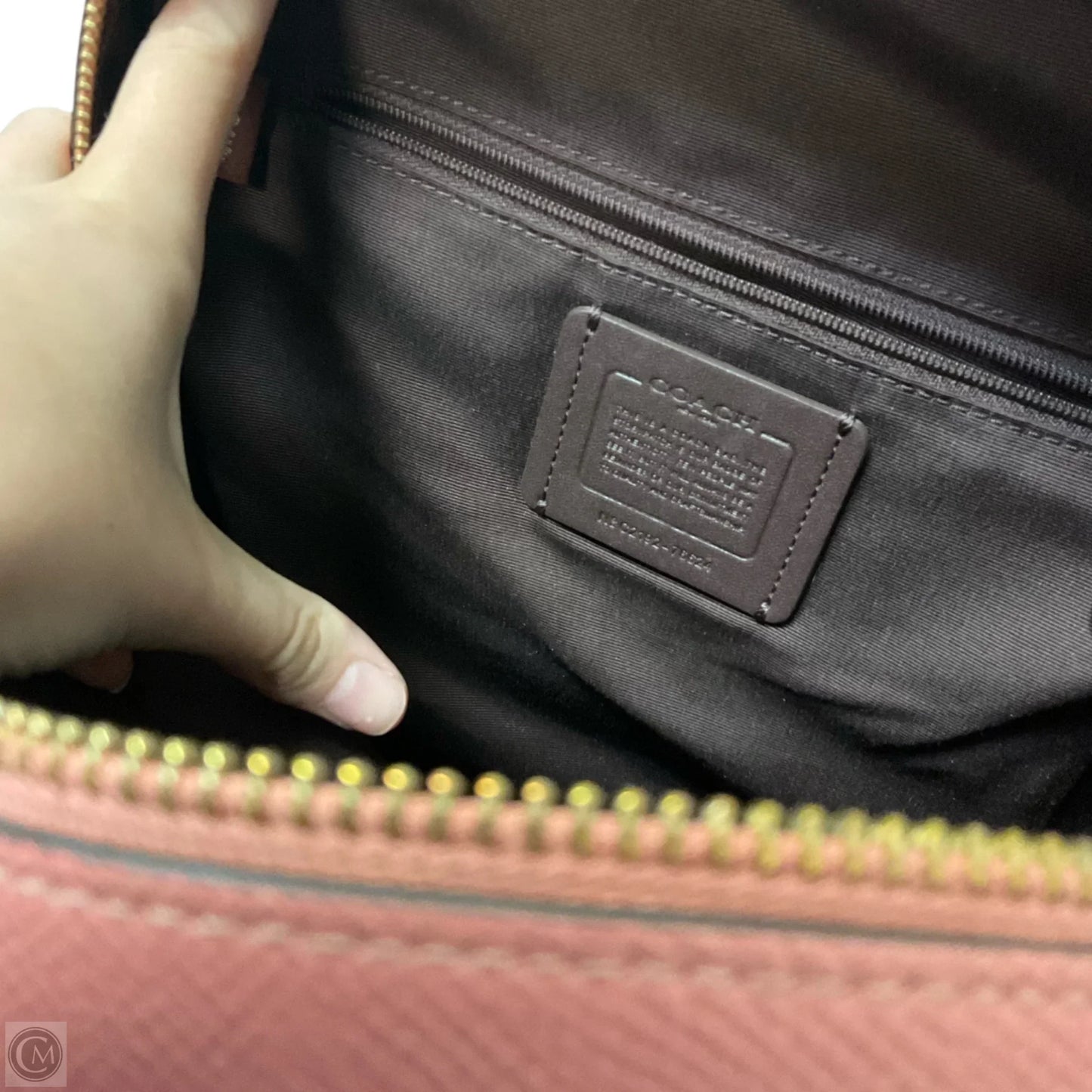 Backpack Designer By Coach, Size: Medium