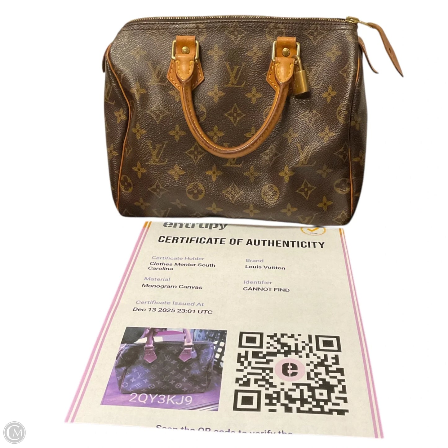 Handbag Luxury Designer By Louis Vuitton, Size: Medium