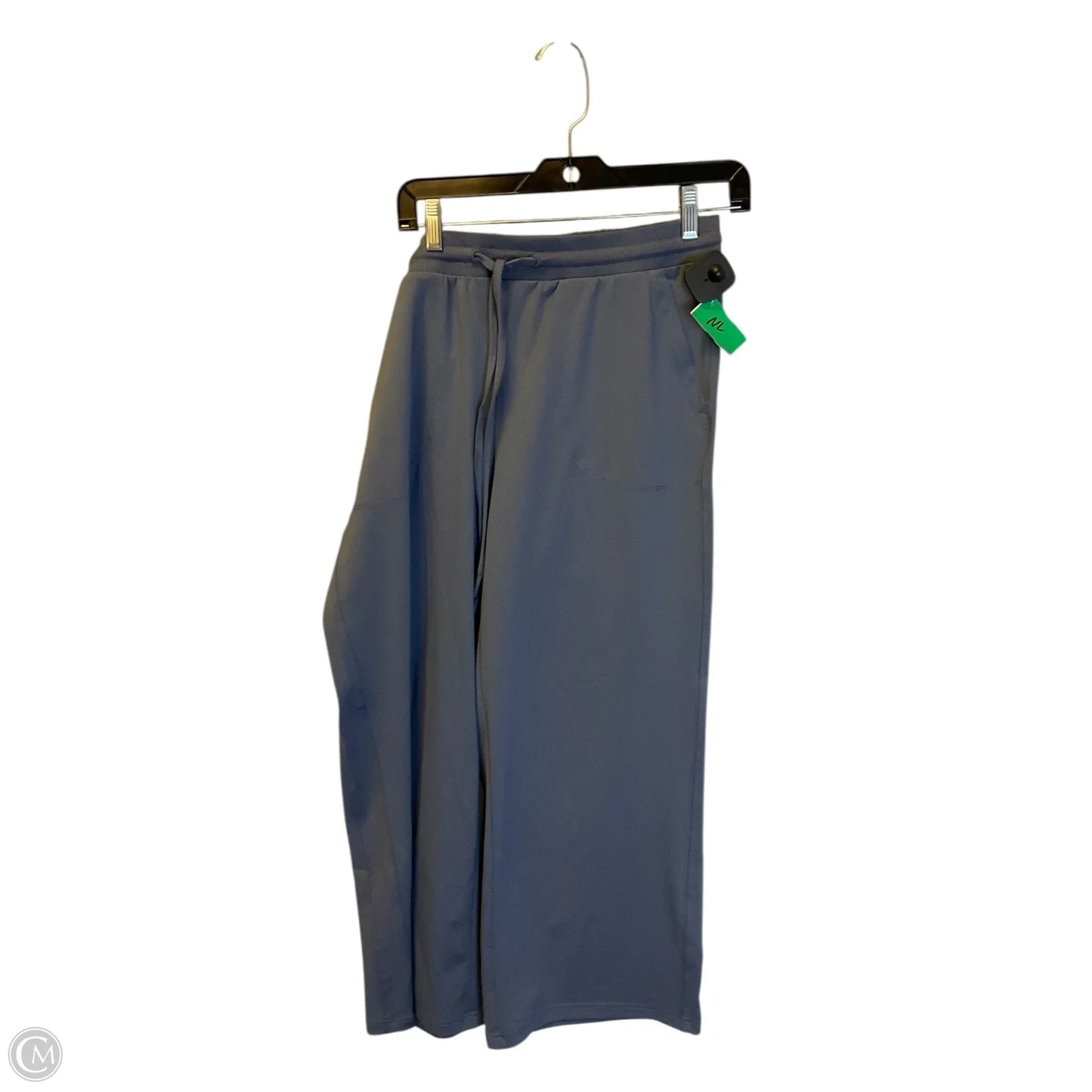 Athletic Pants By Rachel Zoe In Blue, Size: L