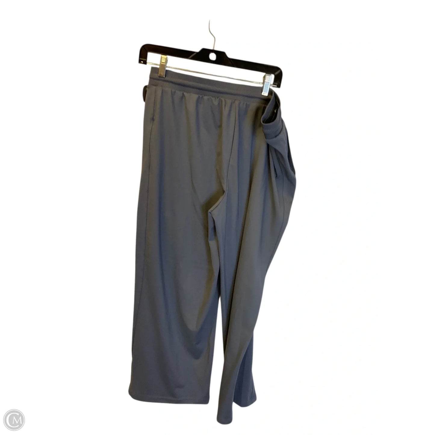 Athletic Pants By Rachel Zoe In Blue, Size: L