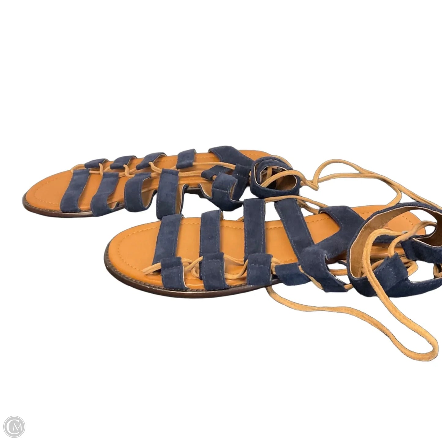 Sandals Designer By Frye In Blue, Size: 8.5