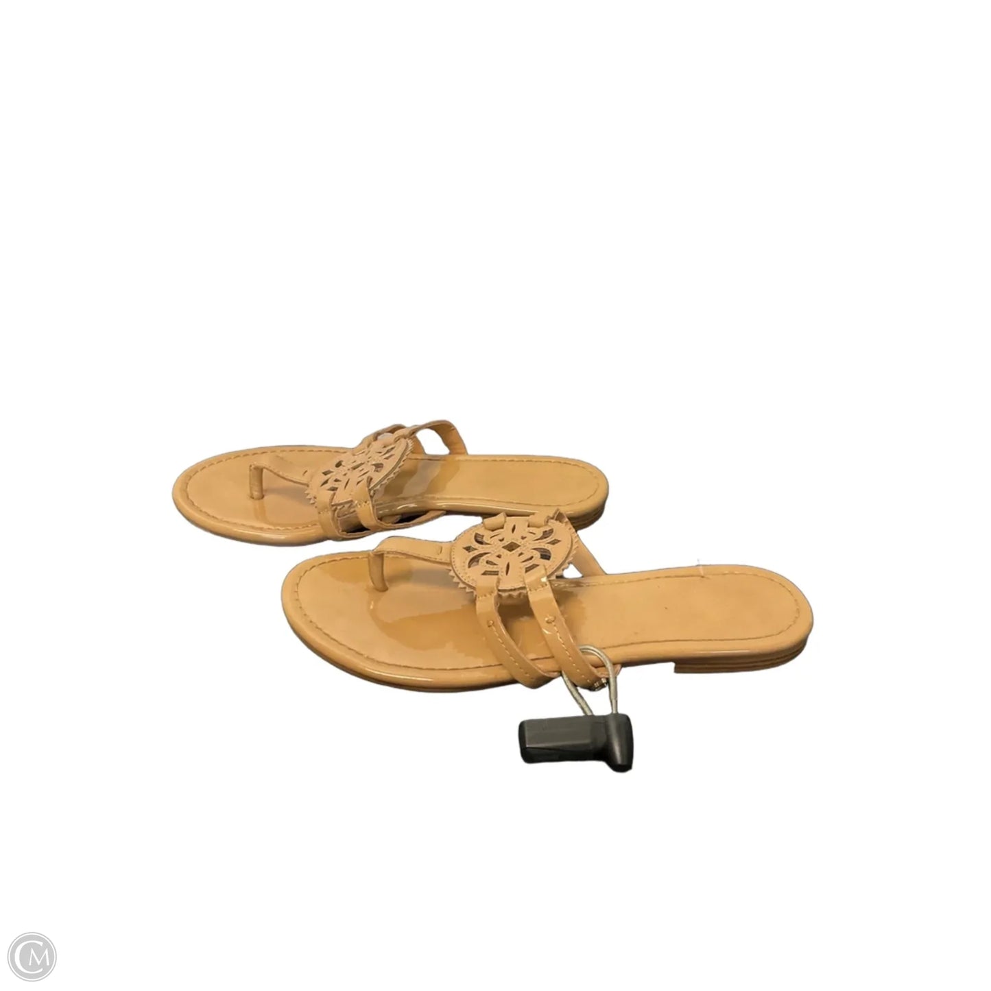 Sandals Flats By Circus By Sam Edelman In Tan, Size: 7.5