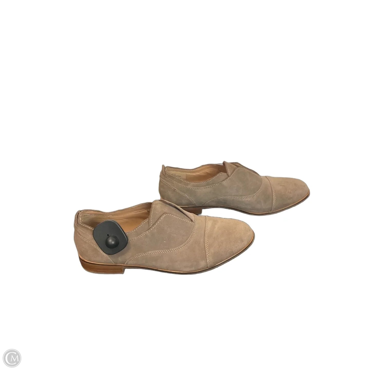 Shoes Flats By Steve Madden In Brown, Size: 8