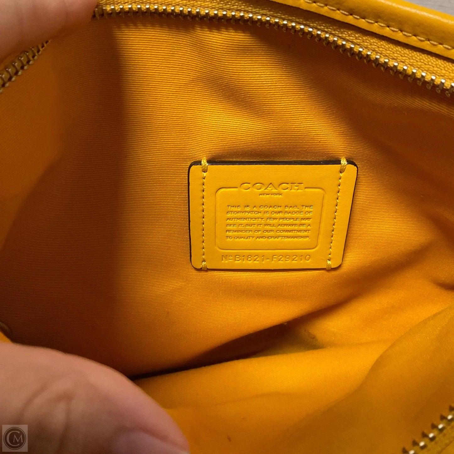 Crossbody Designer By Coach, Size: Medium
