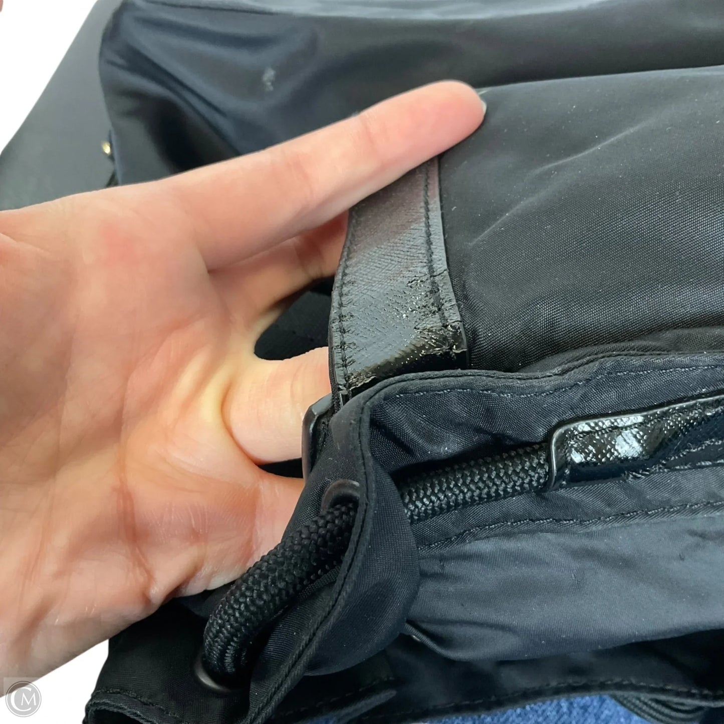 Backpack Designer By Tory Burch, Size: Medium