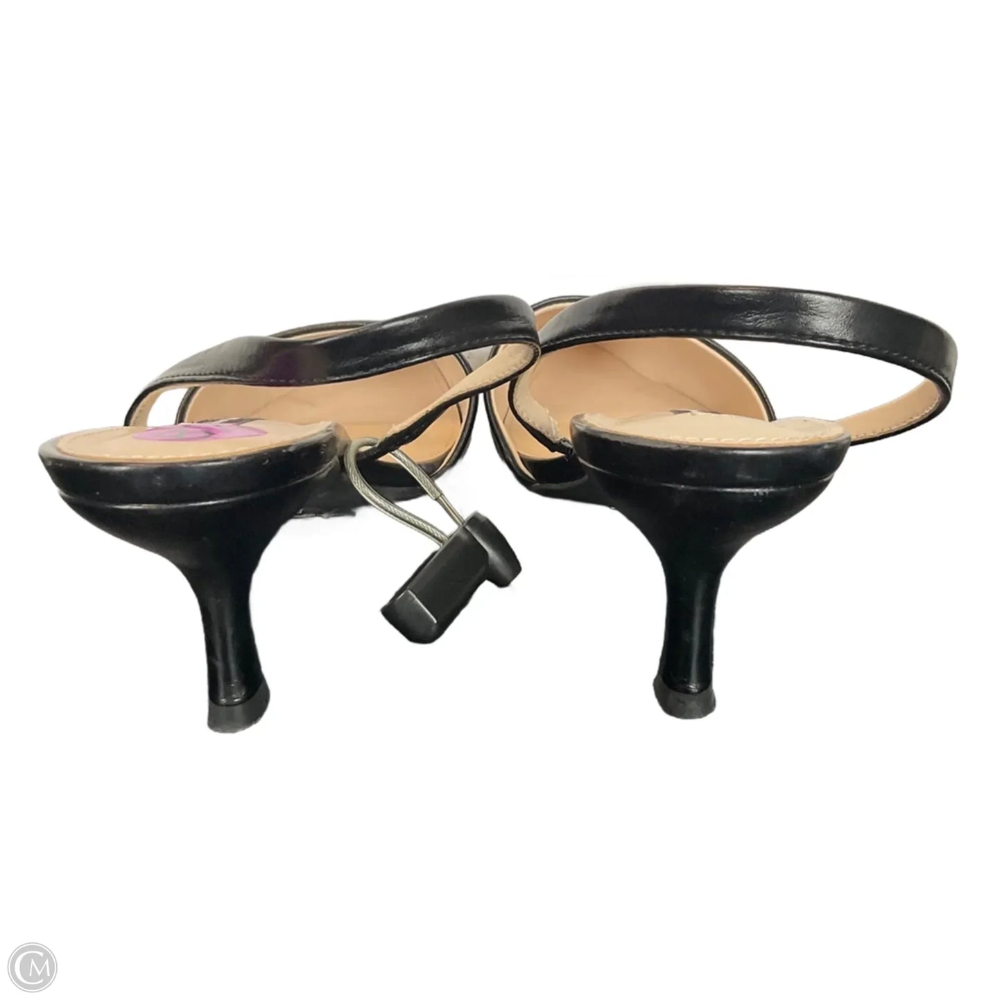 Shoes Heels Kitten By French Connection In Black, Size: 8.5