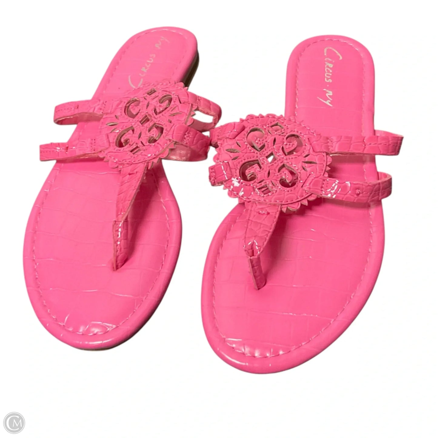 Sandals Flip Flops By Circus By Sam Edelman In Pink, Size: 6
