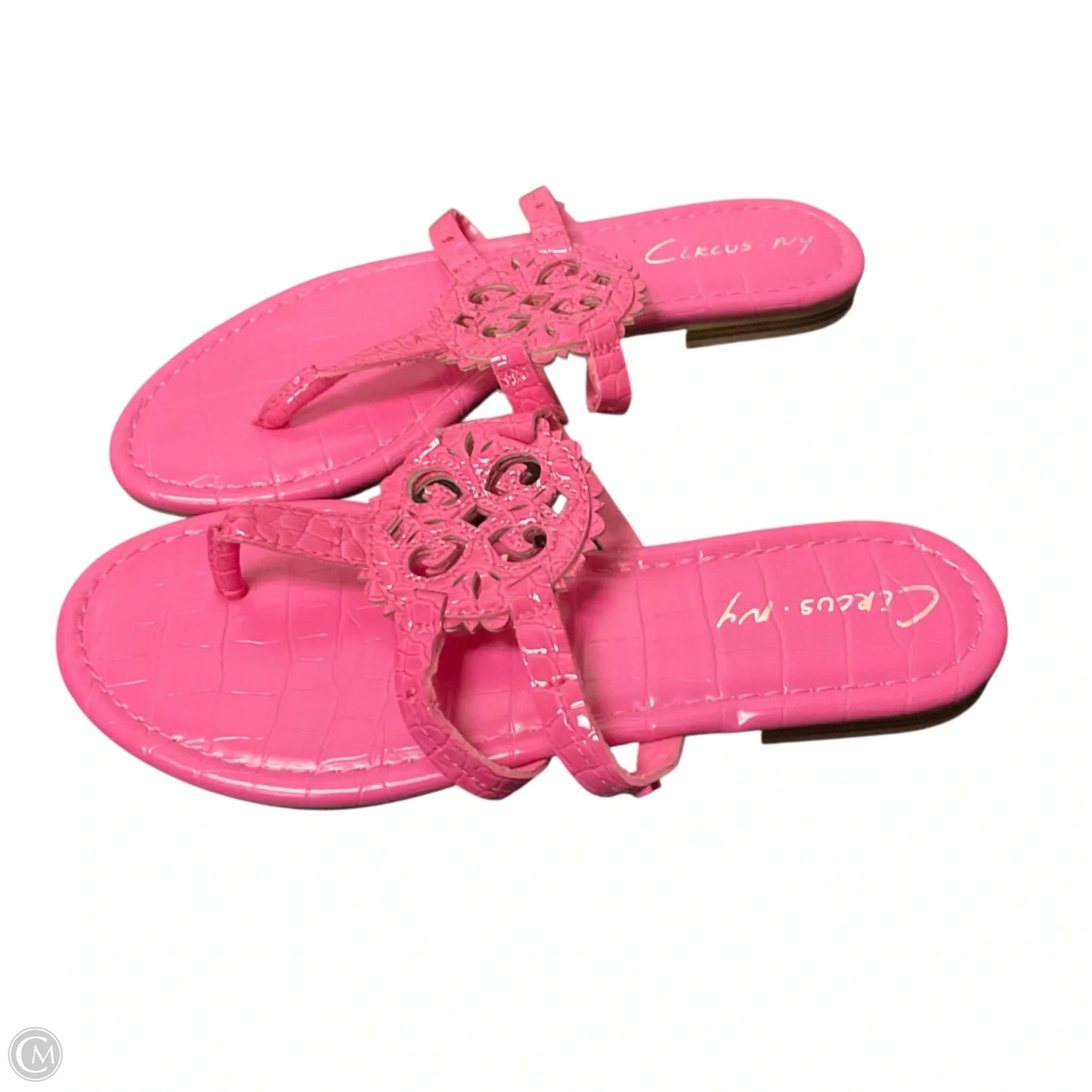 Sandals Flip Flops By Circus By Sam Edelman In Pink, Size: 6