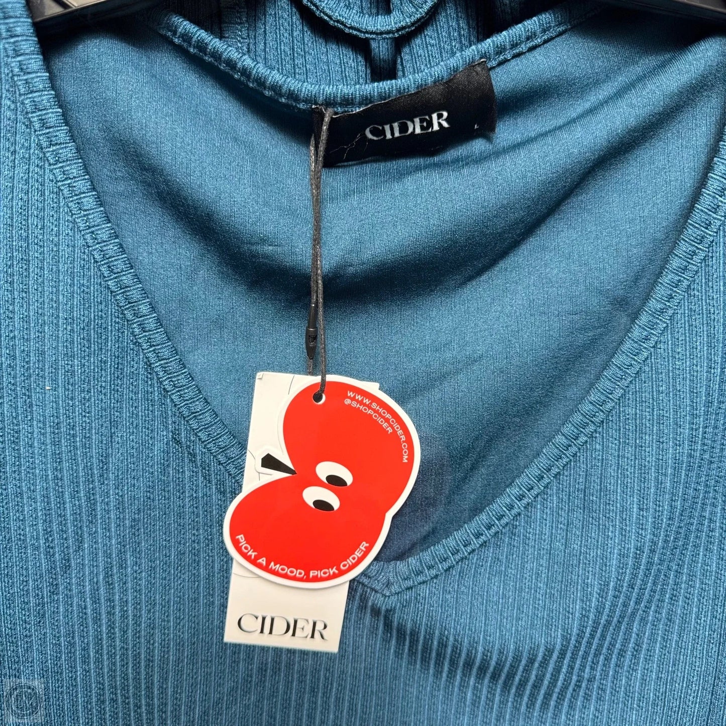 Pants Set 2pc By Cider In Teal, Size: L