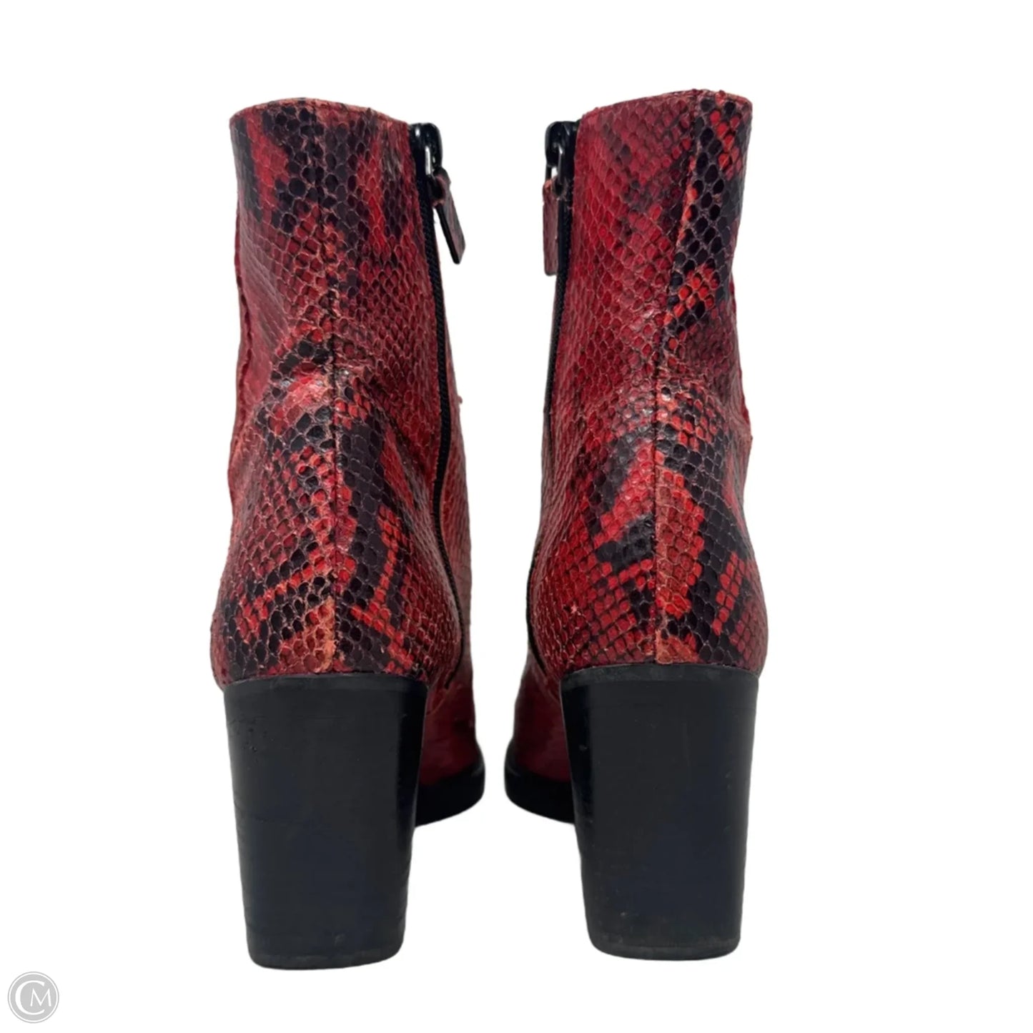 Boots Designer By Stuart Weitzman In Snakeskin Print, Size: 7