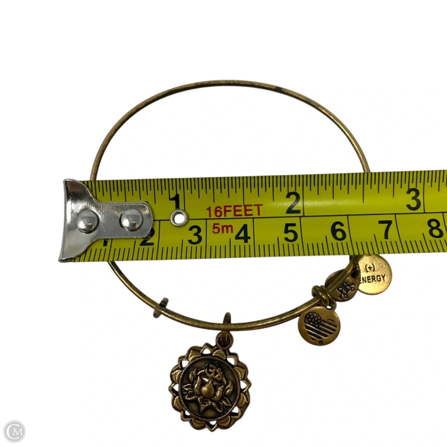 Coat Of Arms Medallion Charm Bracelet By Alex & Ani