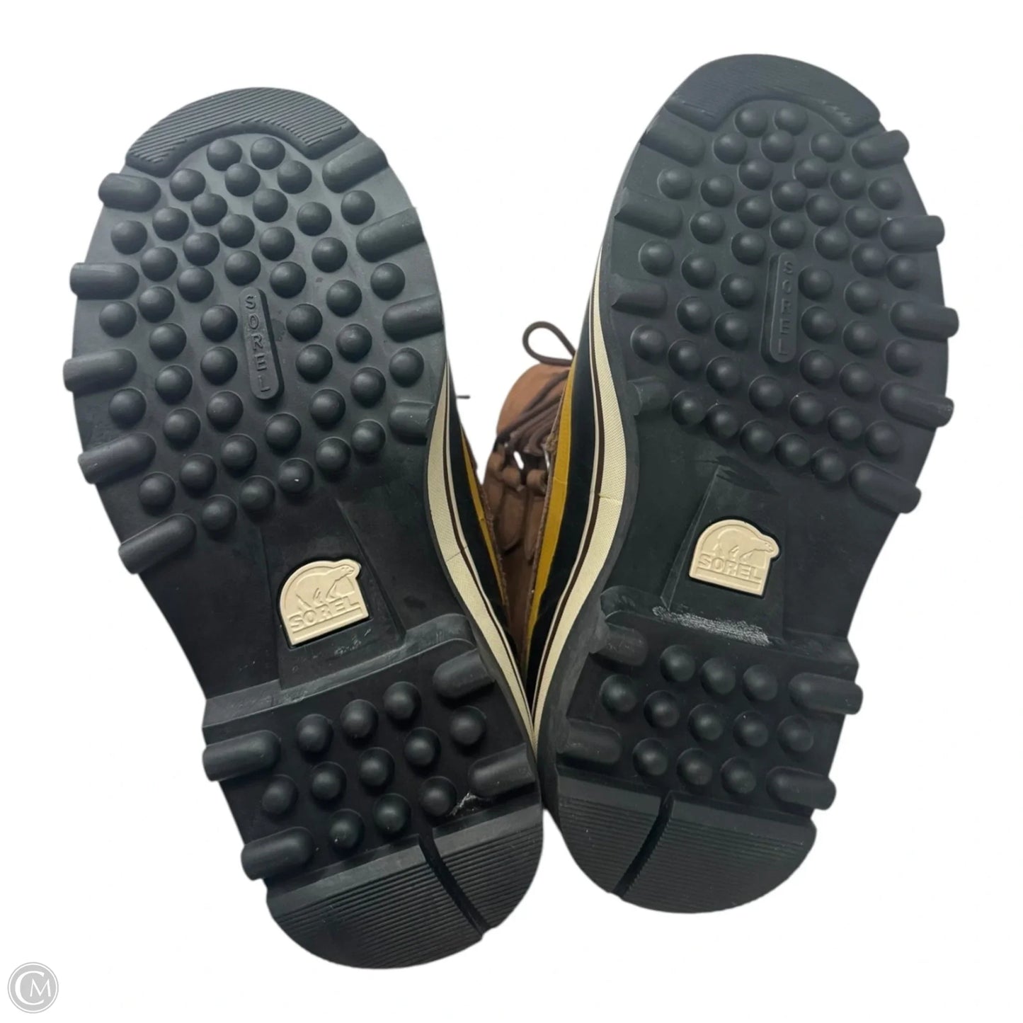 Boots Snow By Sorel In Black & Tan, Size: 6