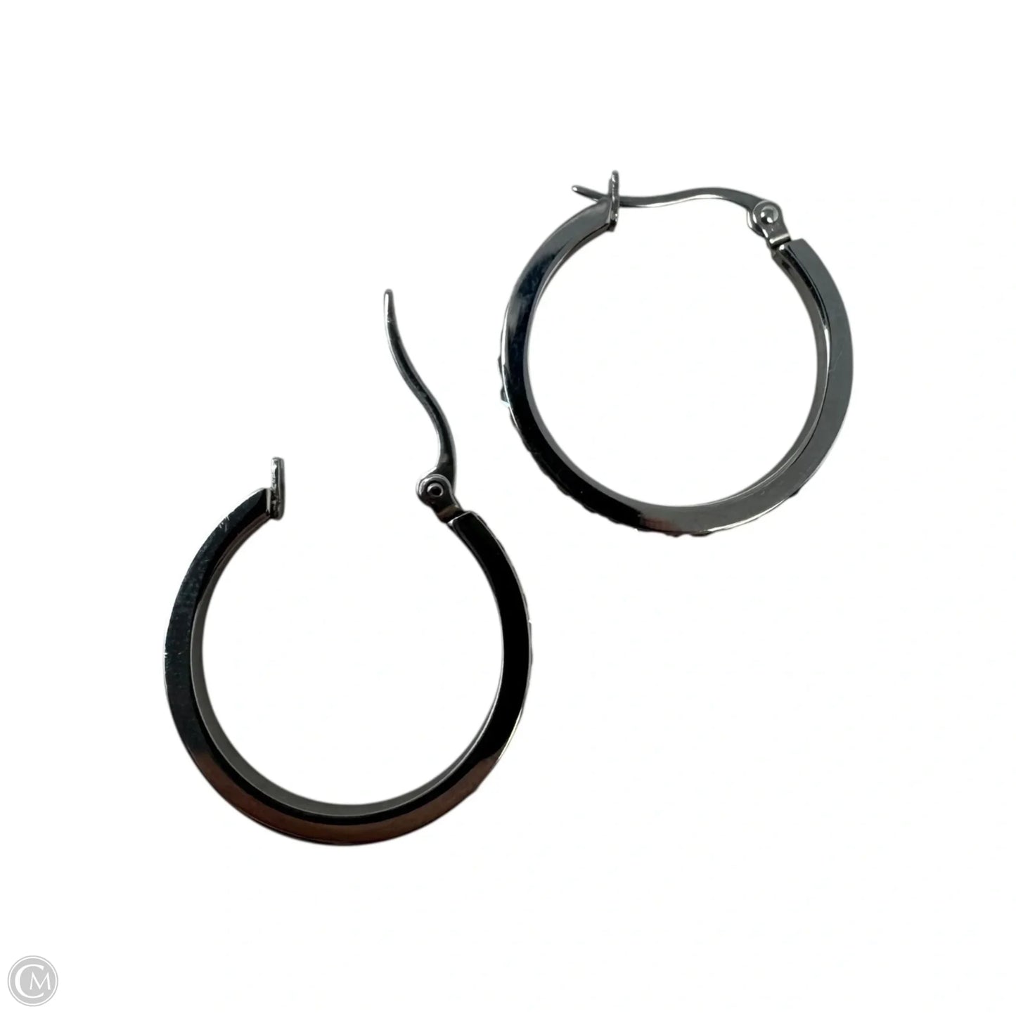Crystal Stainless Steel Hoop Earrings
