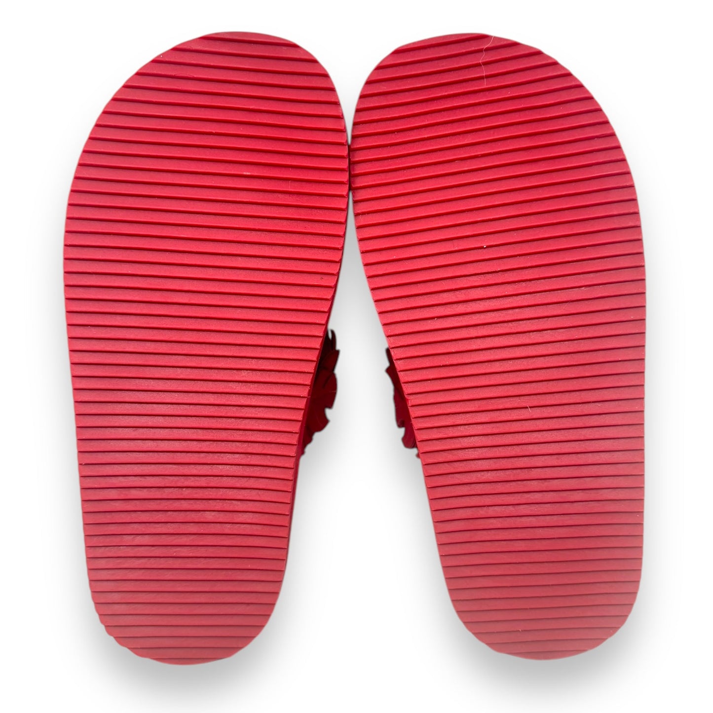 Mini Monstera Anatomic Slide Sandal By Farm Rio In Red, Size: 11