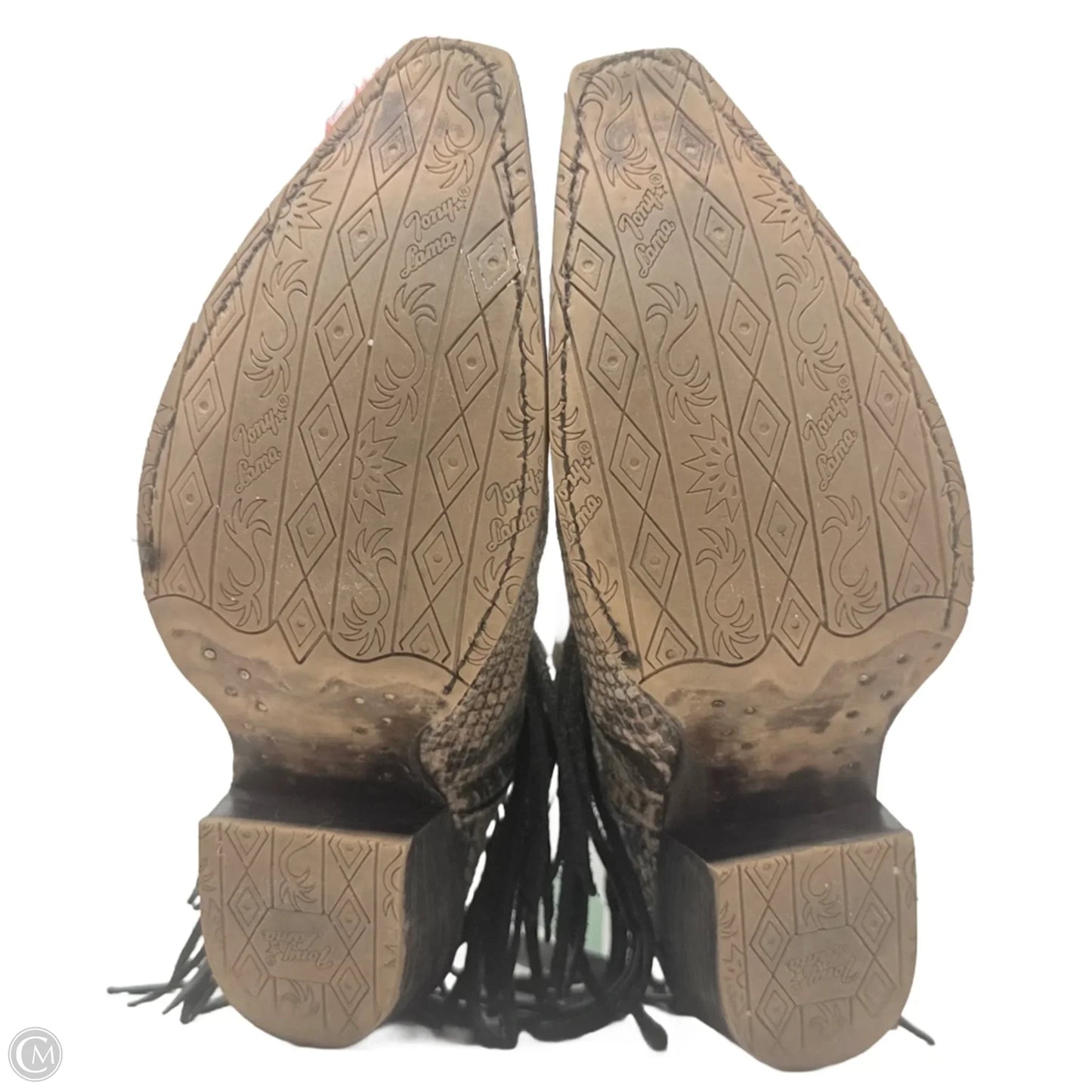 Anahi Fringe Western Snip Toe Booties By Tony Lama In Snakeskin Print, Size: 8.5