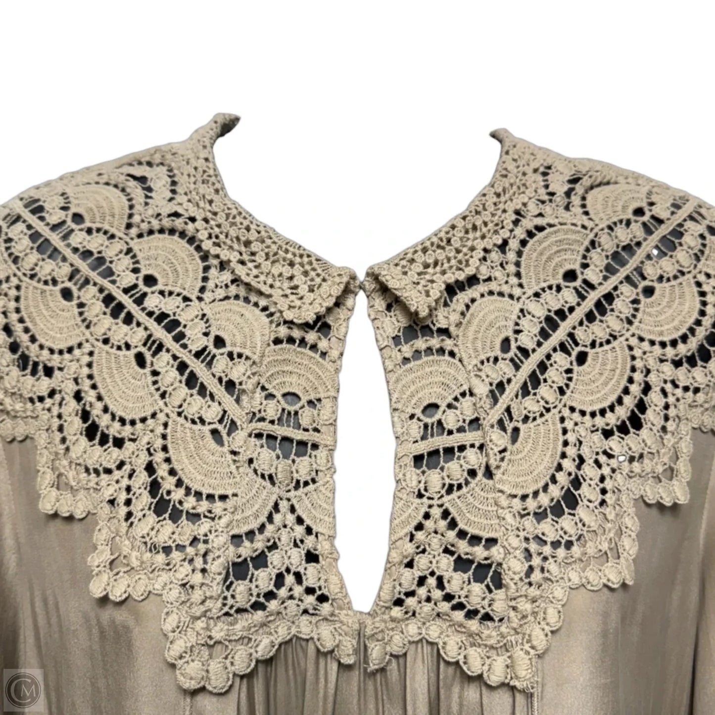 Silk Lace Top Long Sleeve By Burning Torch In Taupe, Size: S