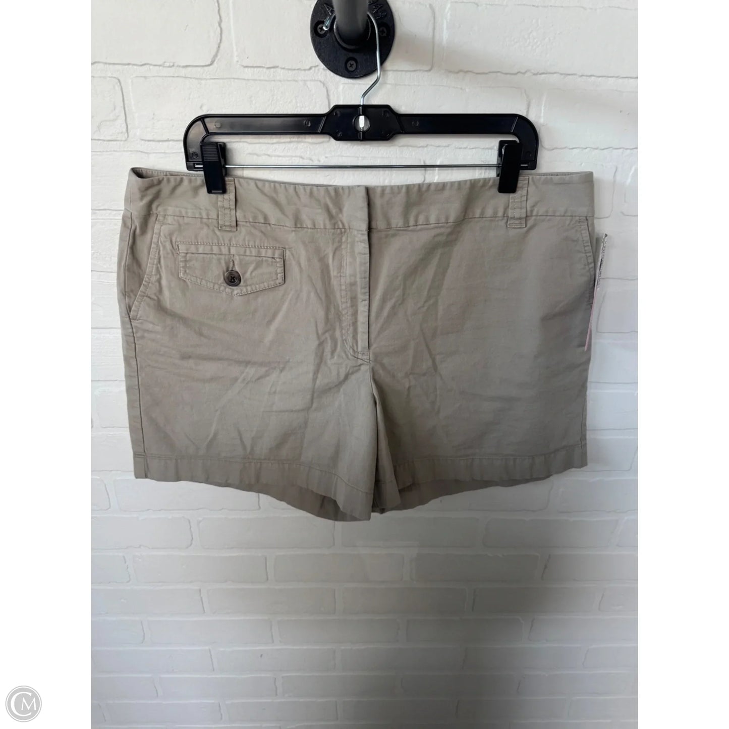 Shorts By Ann Taylor In Tan, Size: 16