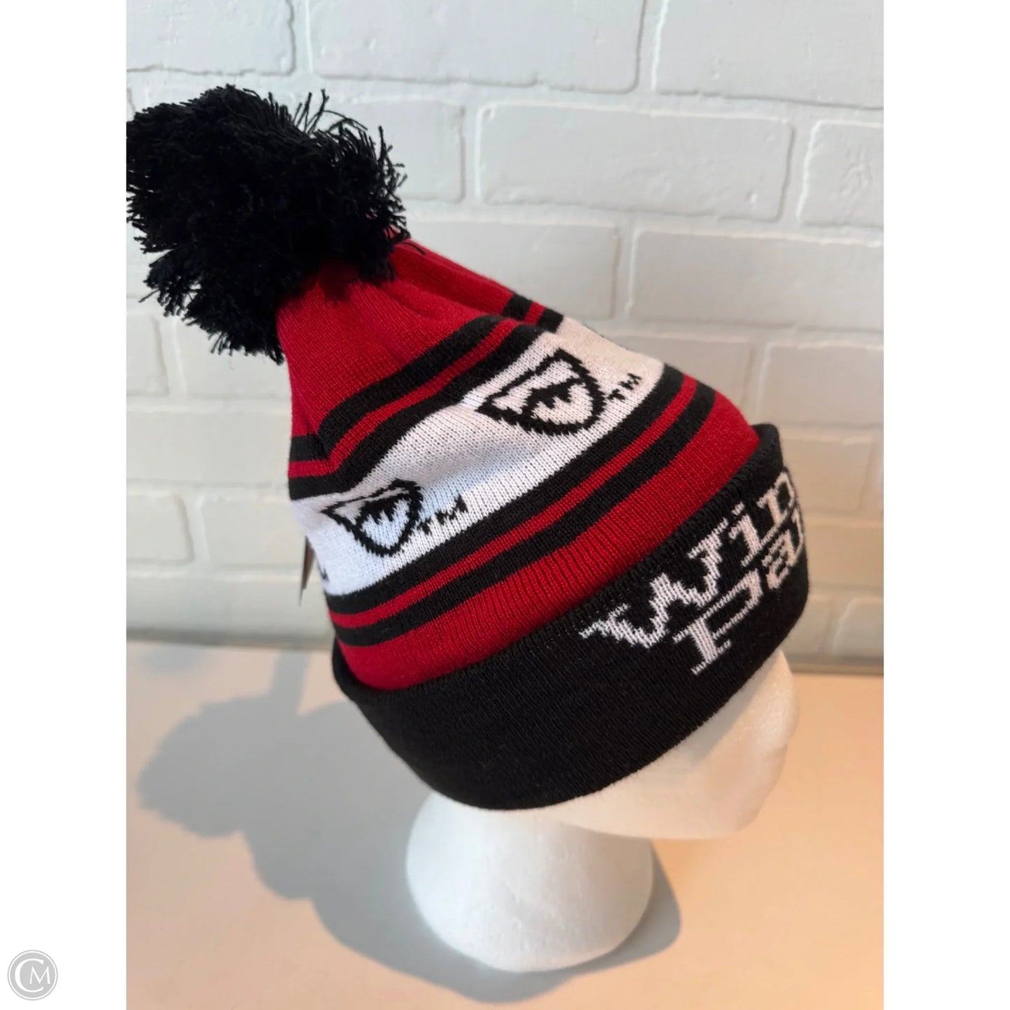 Hat Beanie By Clothes Mentor