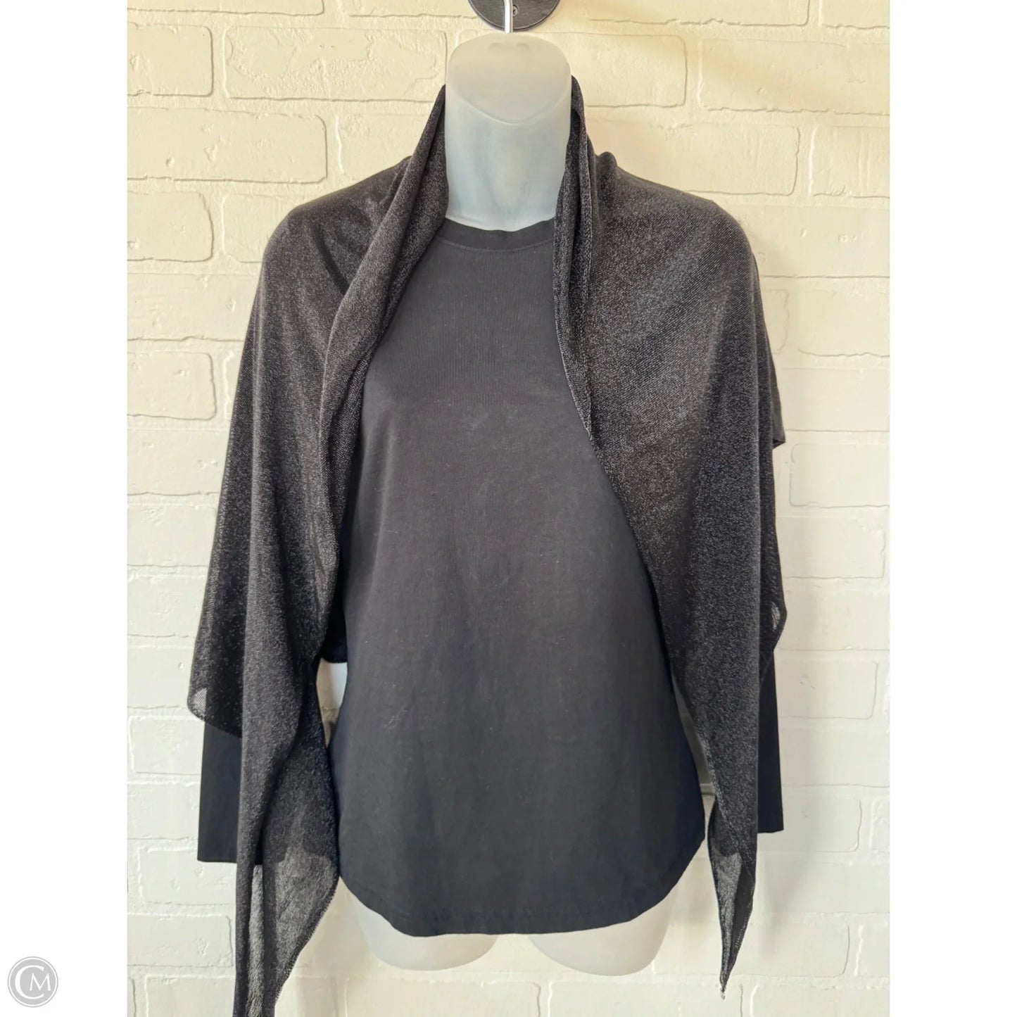 Scarf Long By Lauren By Ralph Lauren, Size: Osfm