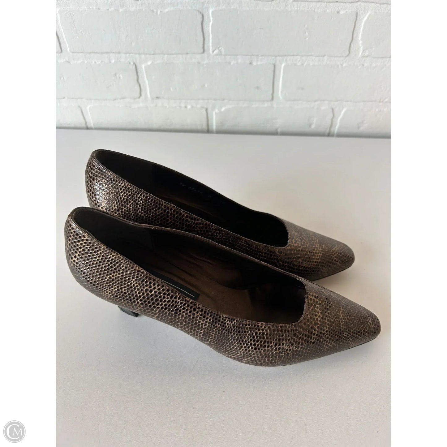 Shoes Designer By Stuart Weitzman In Snakeskin Print, Size: 10