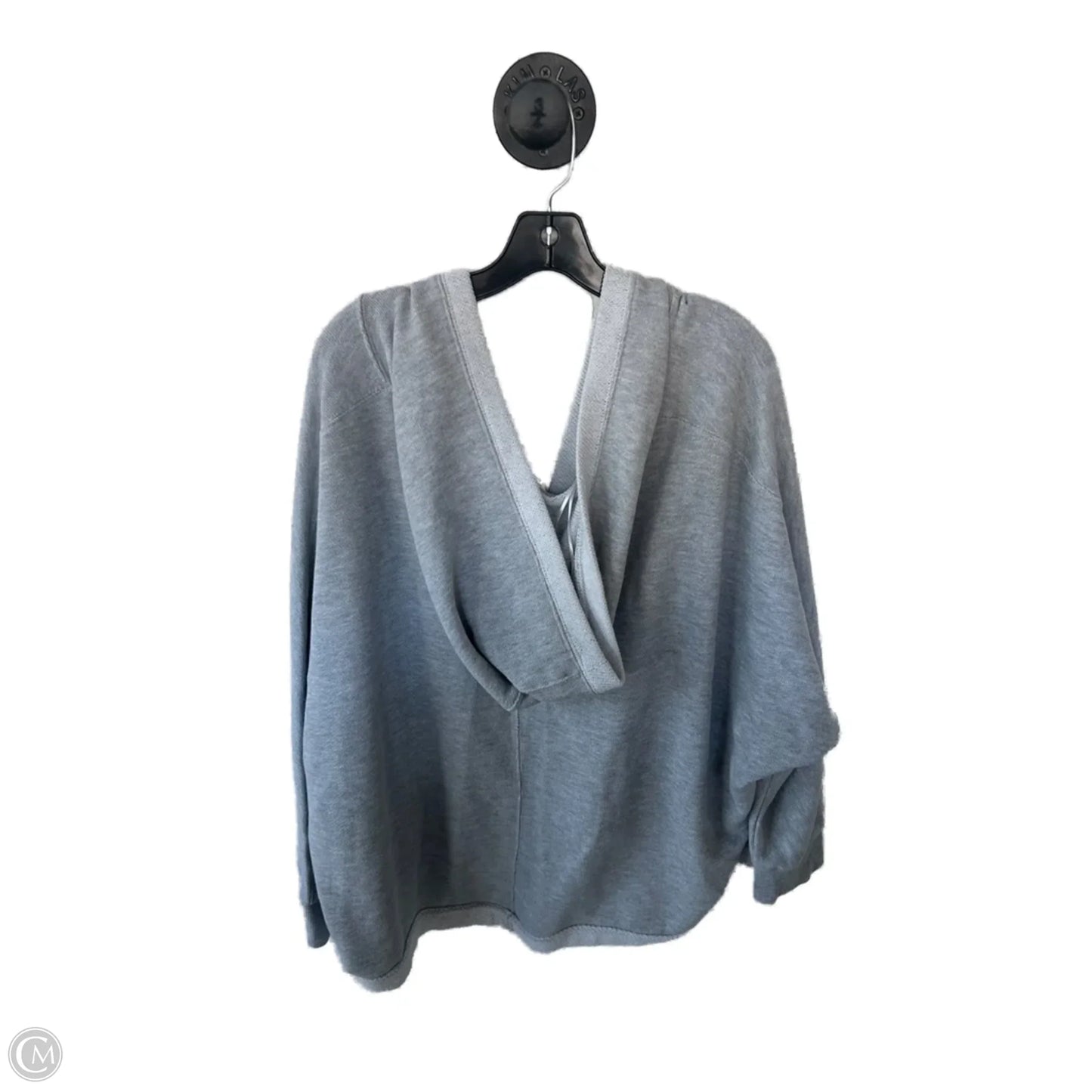 Sweatshirt Hoodie By Terra & Sky In Grey, Size: 3x