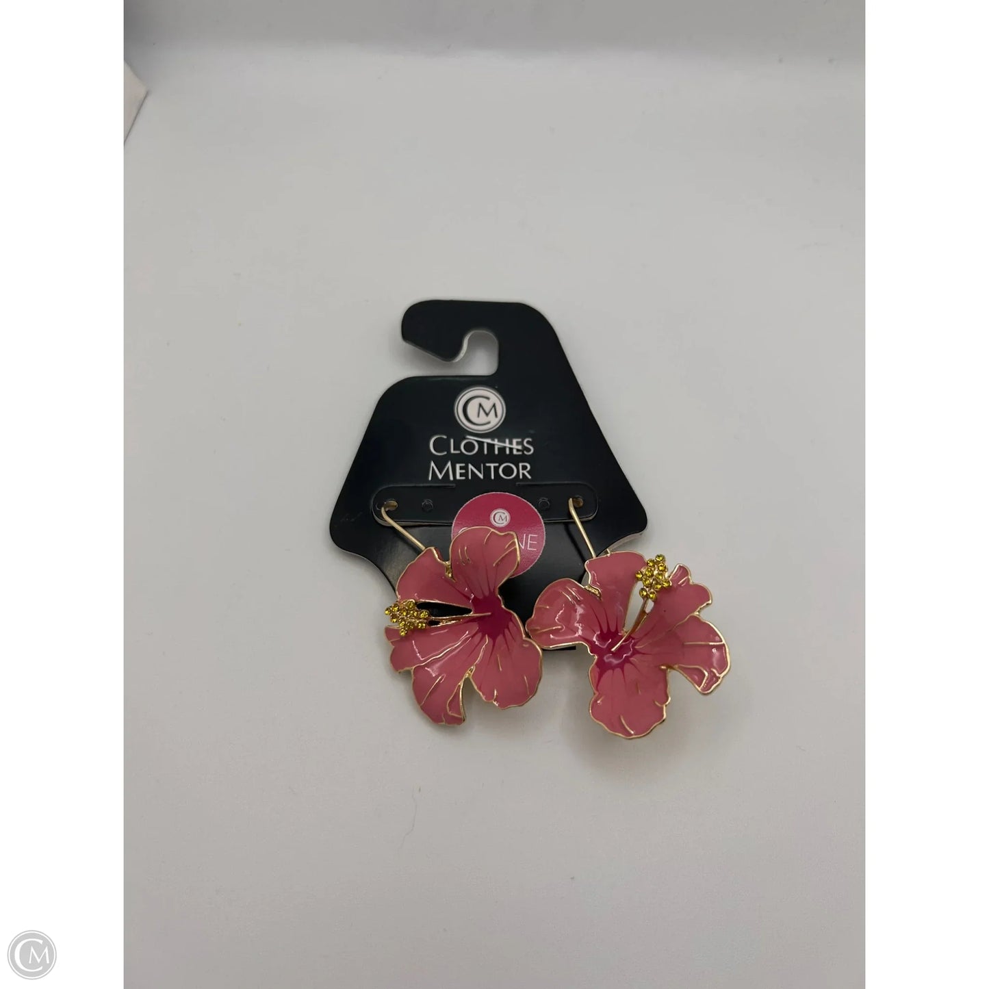 Earrings Dangle/drop By Clothes Mentor