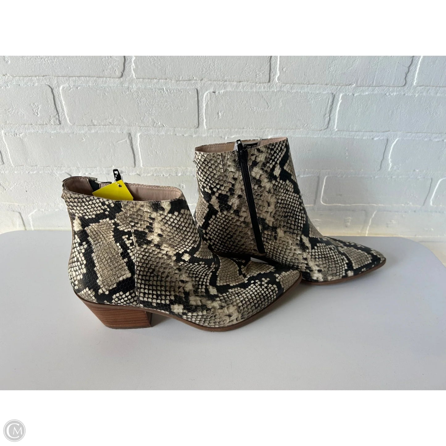 Boots Ankle Heels By Aldo In Snakeskin Print, Size: 11