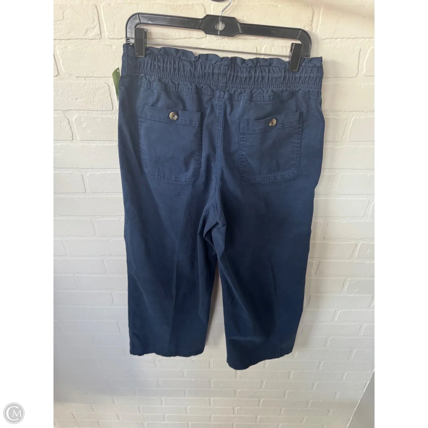 Pants Wide Leg By Sonoma In Blue, Size: 8