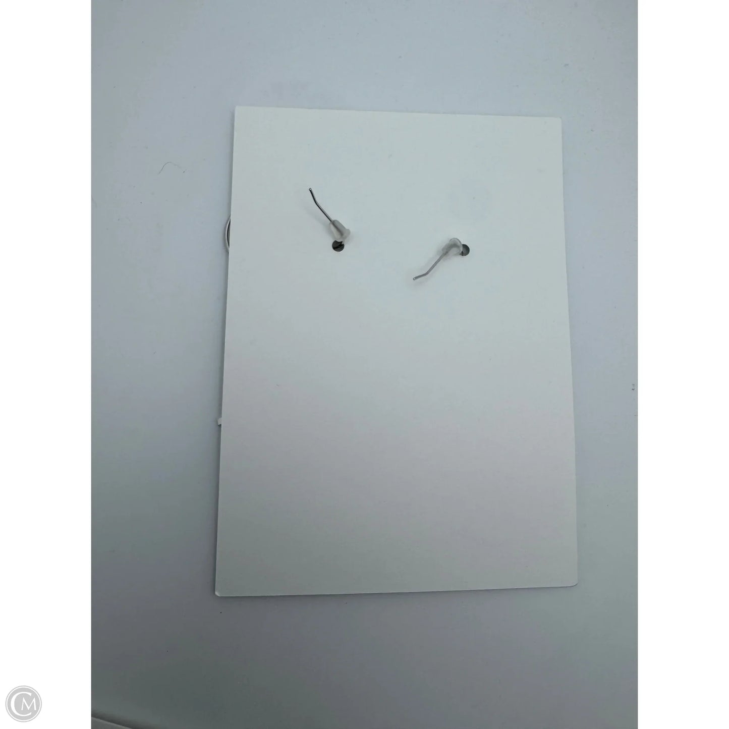 Earrings Dangle/drop By Clothes Mentor