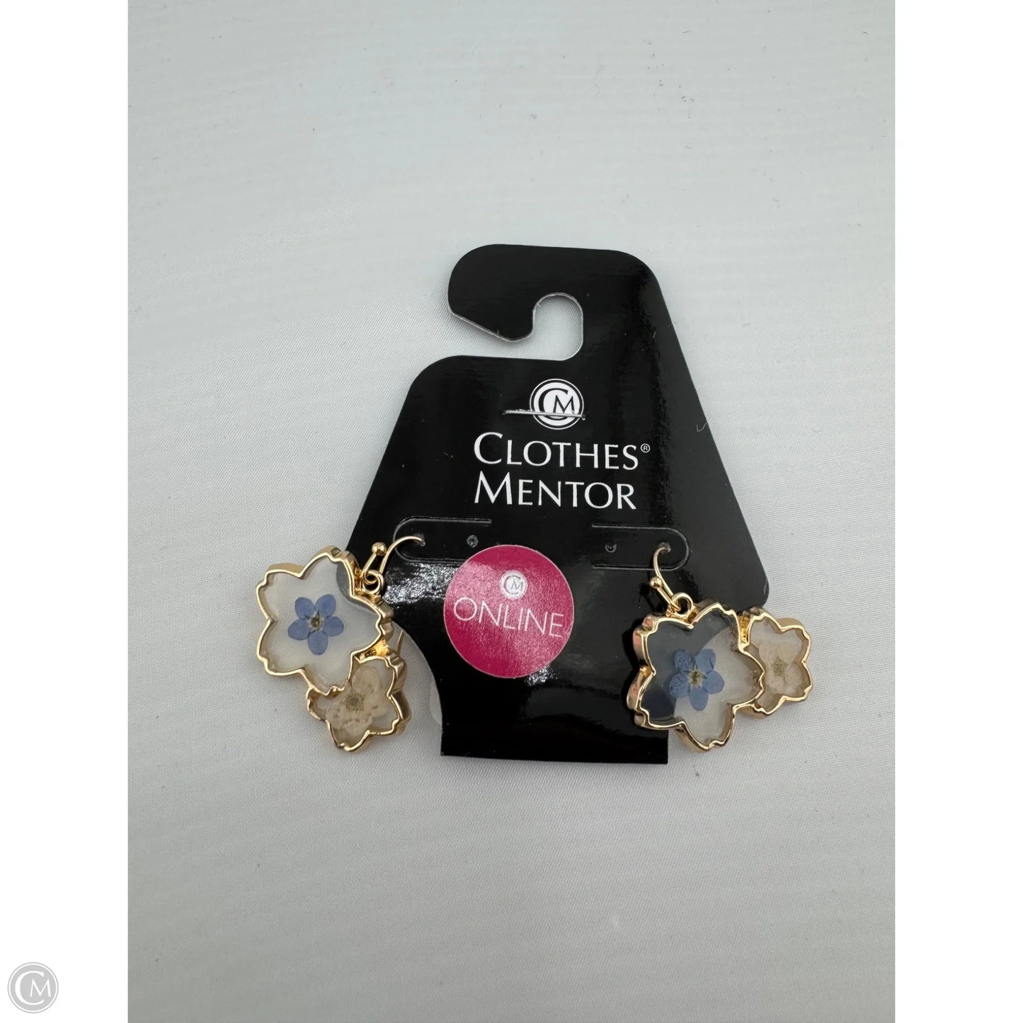Earrings Dangle/drop By Clothes Mentor