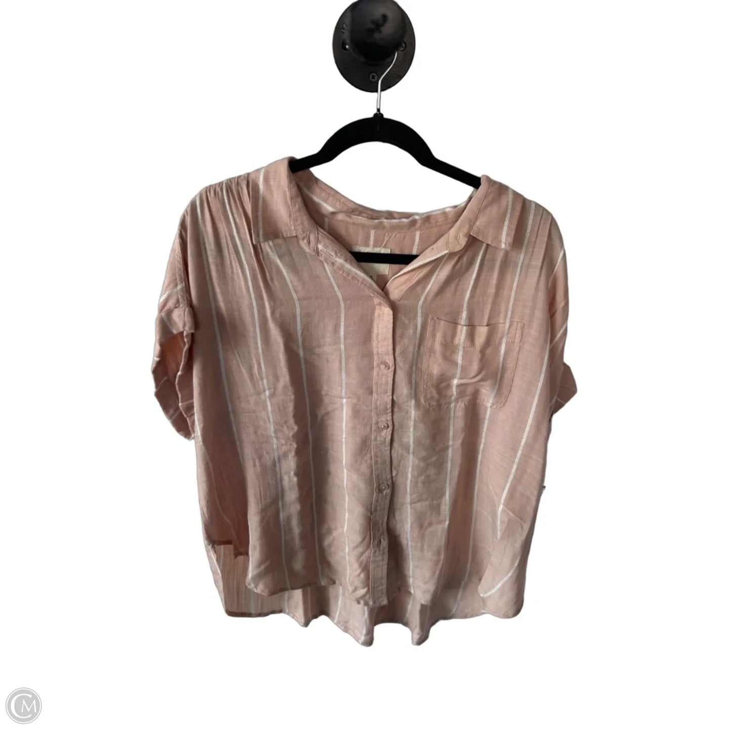 Blouse Short Sleeve By American Eagle In Tan & White, Size: M