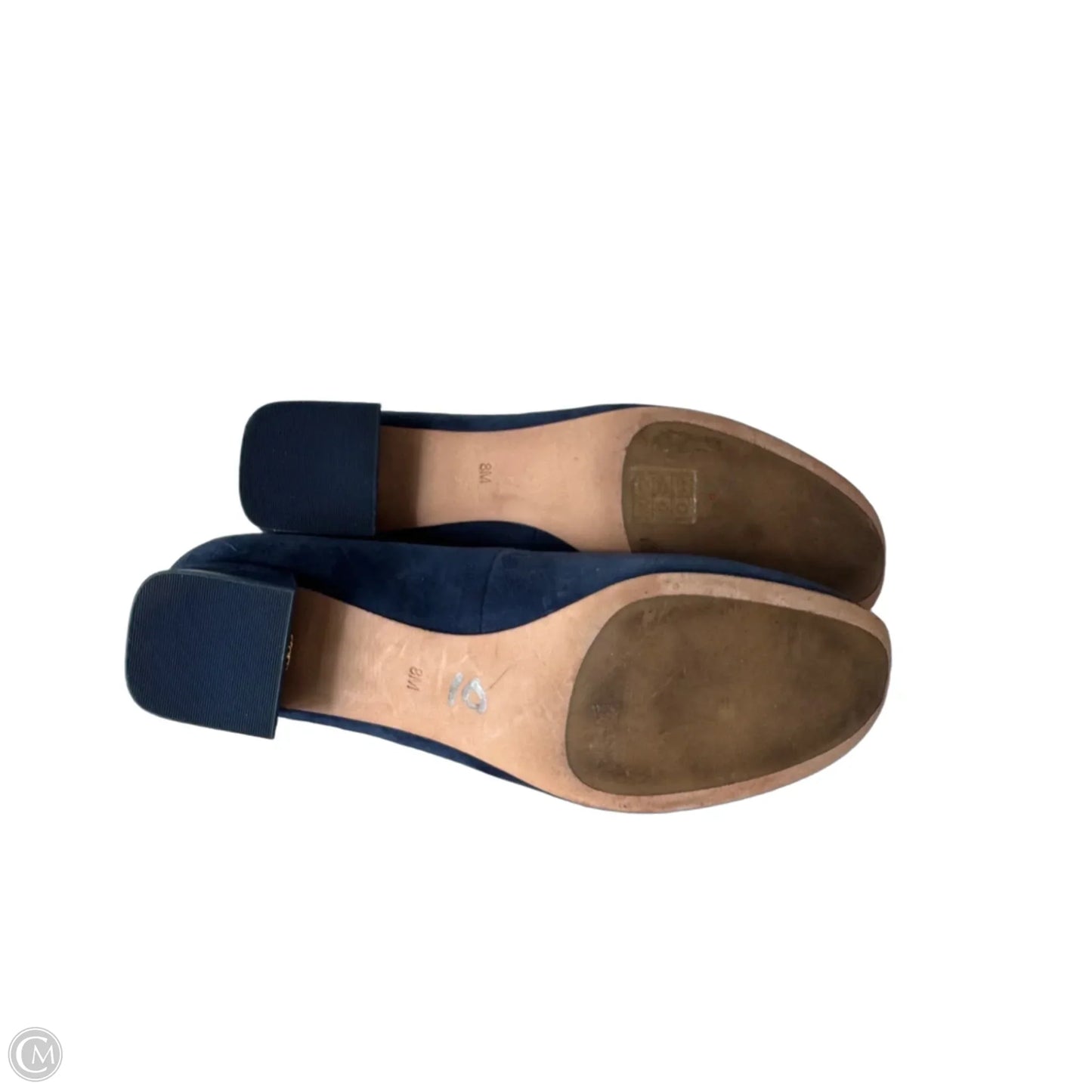 Shoes Designer By Tory Burch In Blue & Gold, Size: 8