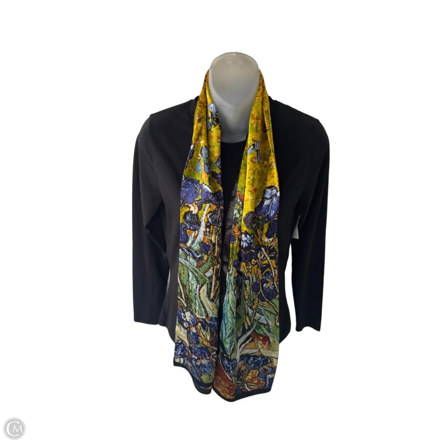 Scarf Long By Clothes Mentor