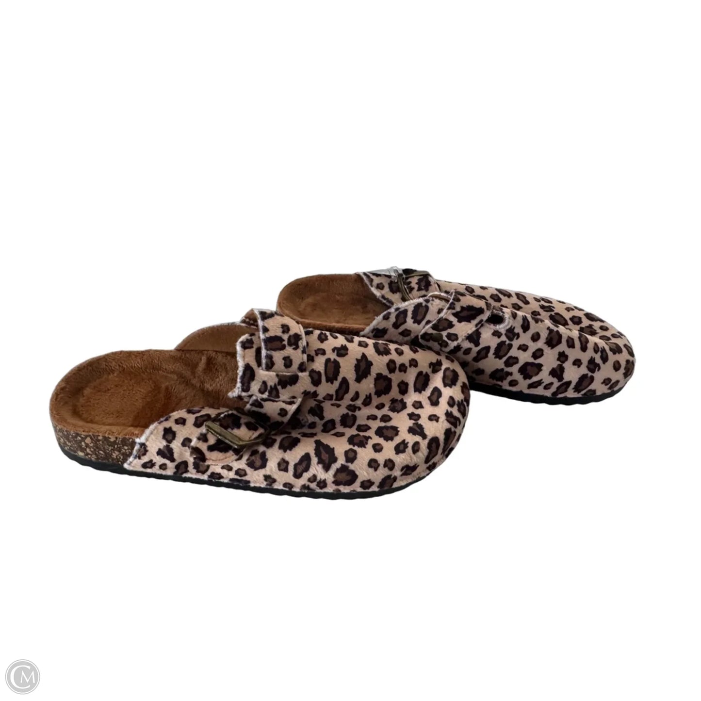 Shoes Flats By Cme In Animal Print, Size: 7