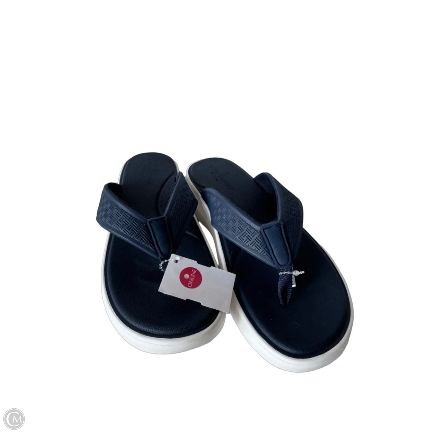 Sandals Flip Flops By Clarks In Blue & White, Size: 10