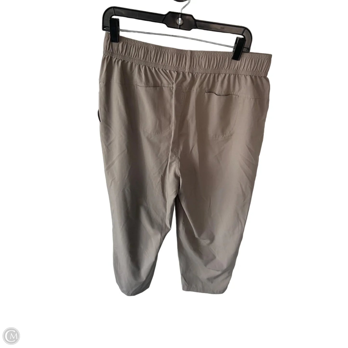 Athletic Pants By Eddie Bauer In Tan, Size: L