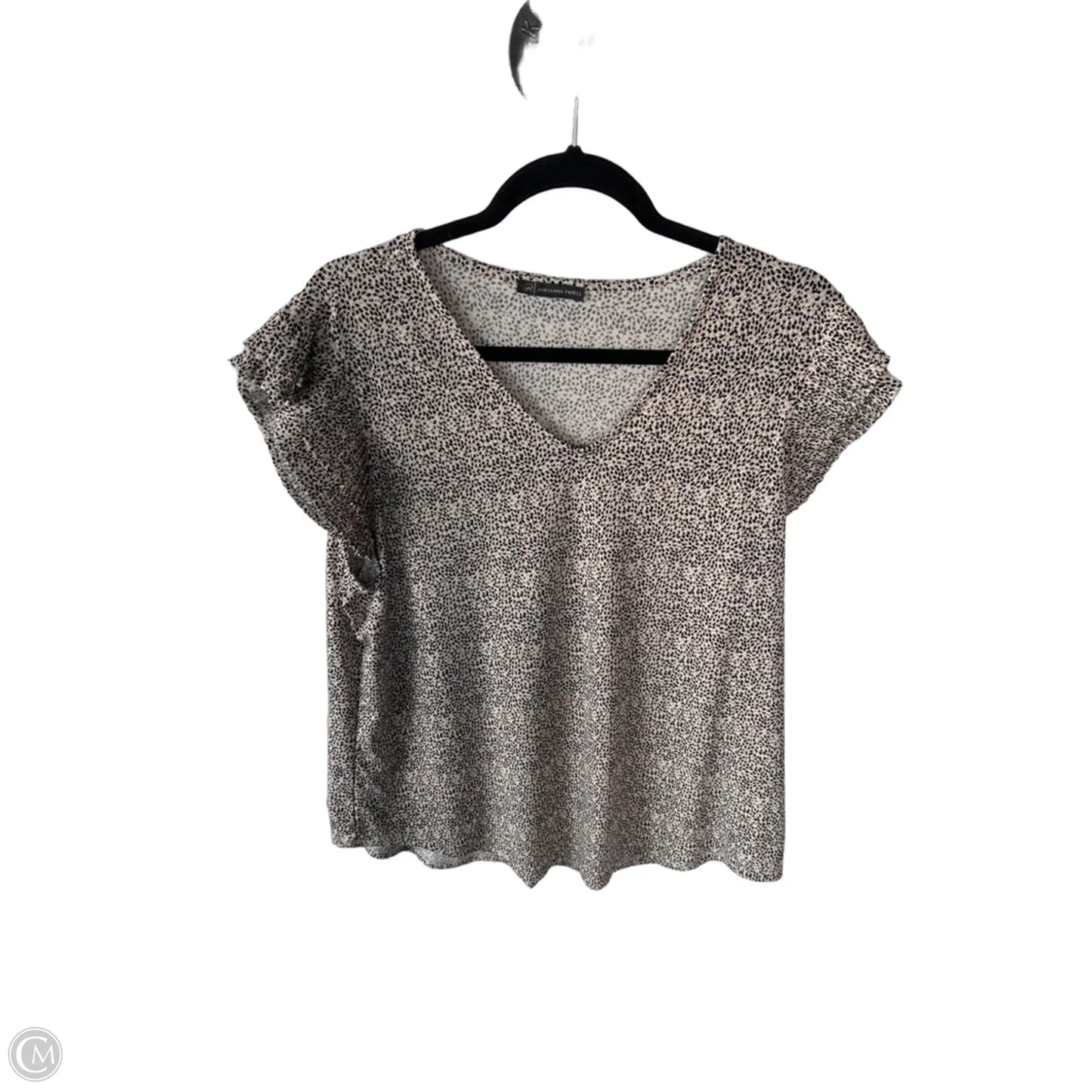 Blouse Short Sleeve By Adrianna Papell In Tan & White, Size: Xl