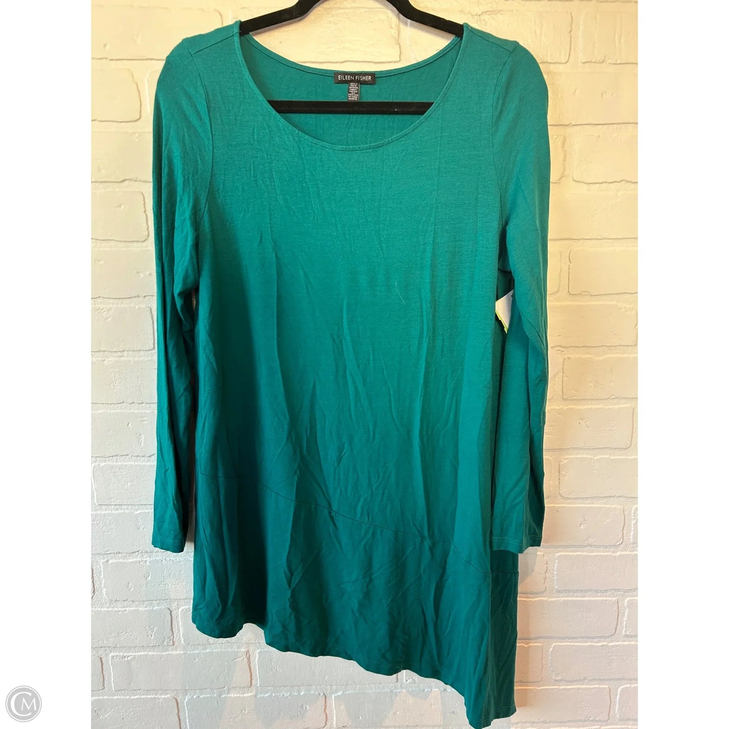 Top Long Sleeve By Eileen Fisher In Green, Size: L
