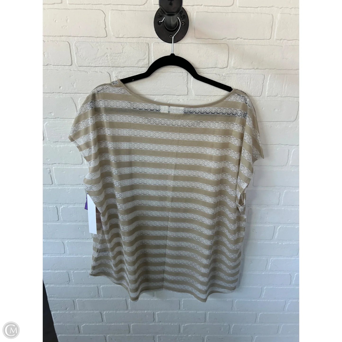 Top Short Sleeve By Cato In Tan & White, Size: 3x