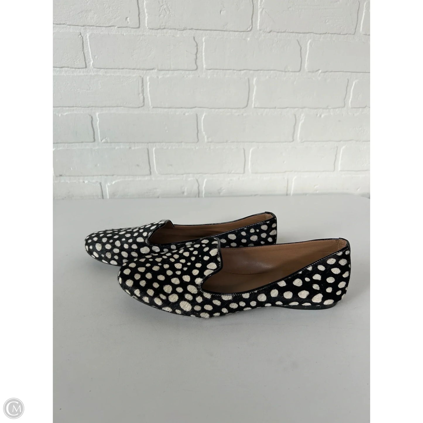Shoes Flats By Franco Sarto In Black & Cream, Size: 8.5
