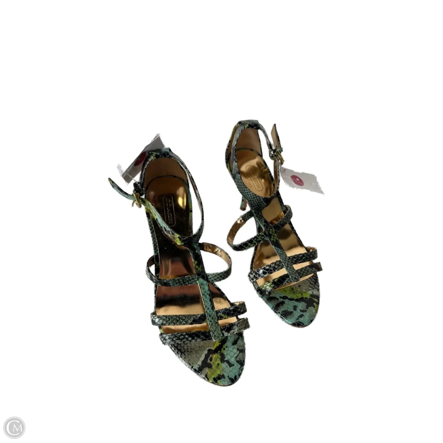 Sandals Designer By Coach In Black & Green, Size: 6