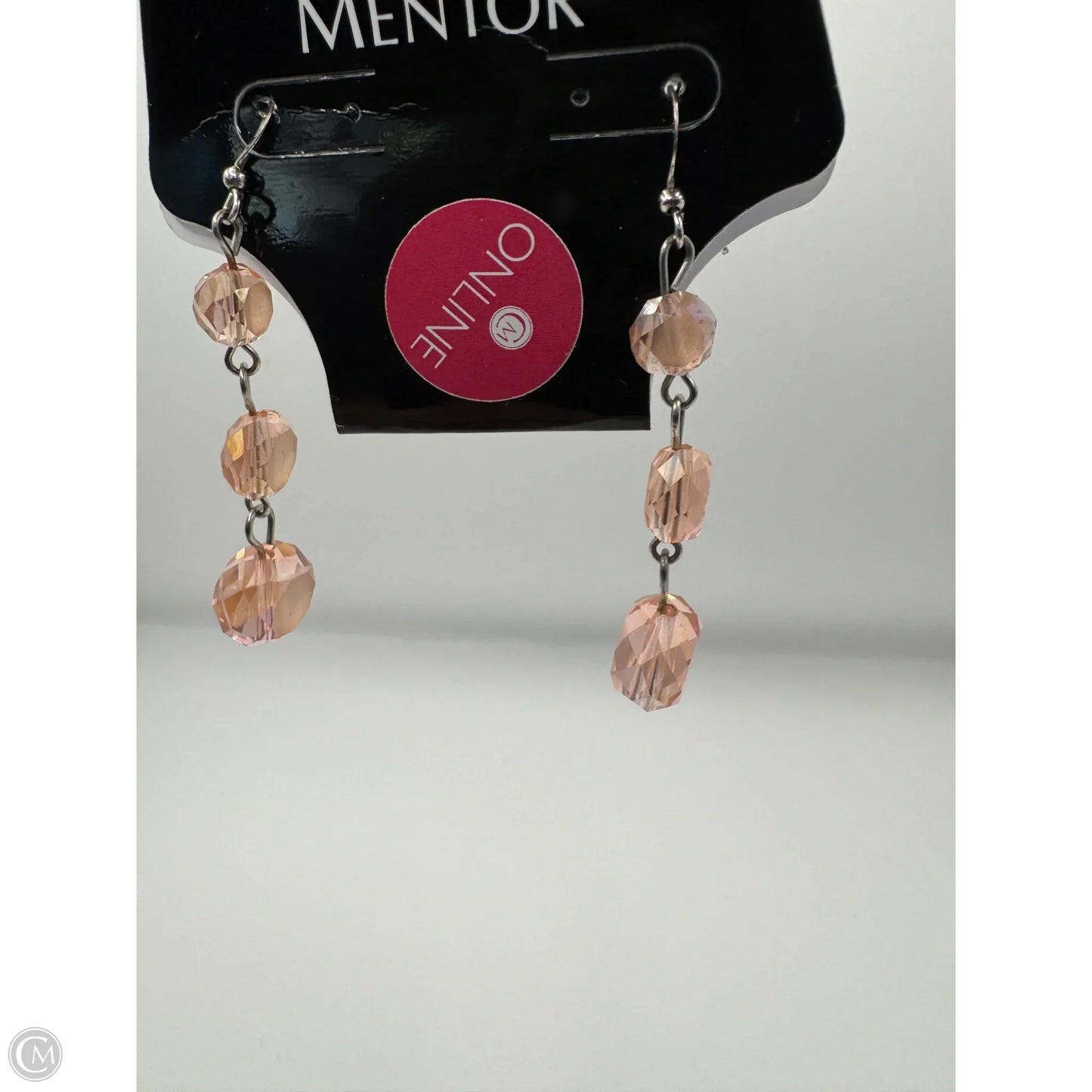 Earrings Dangle/drop By Clothes Mentor