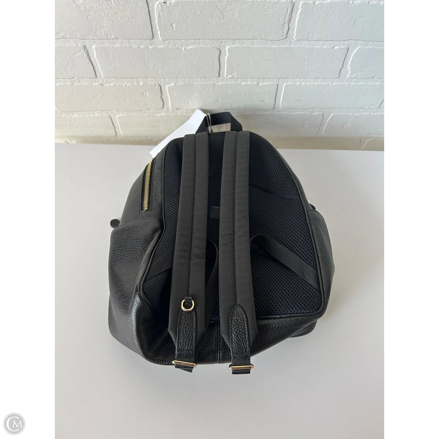 Backpack Designer By Coach, Size: Medium