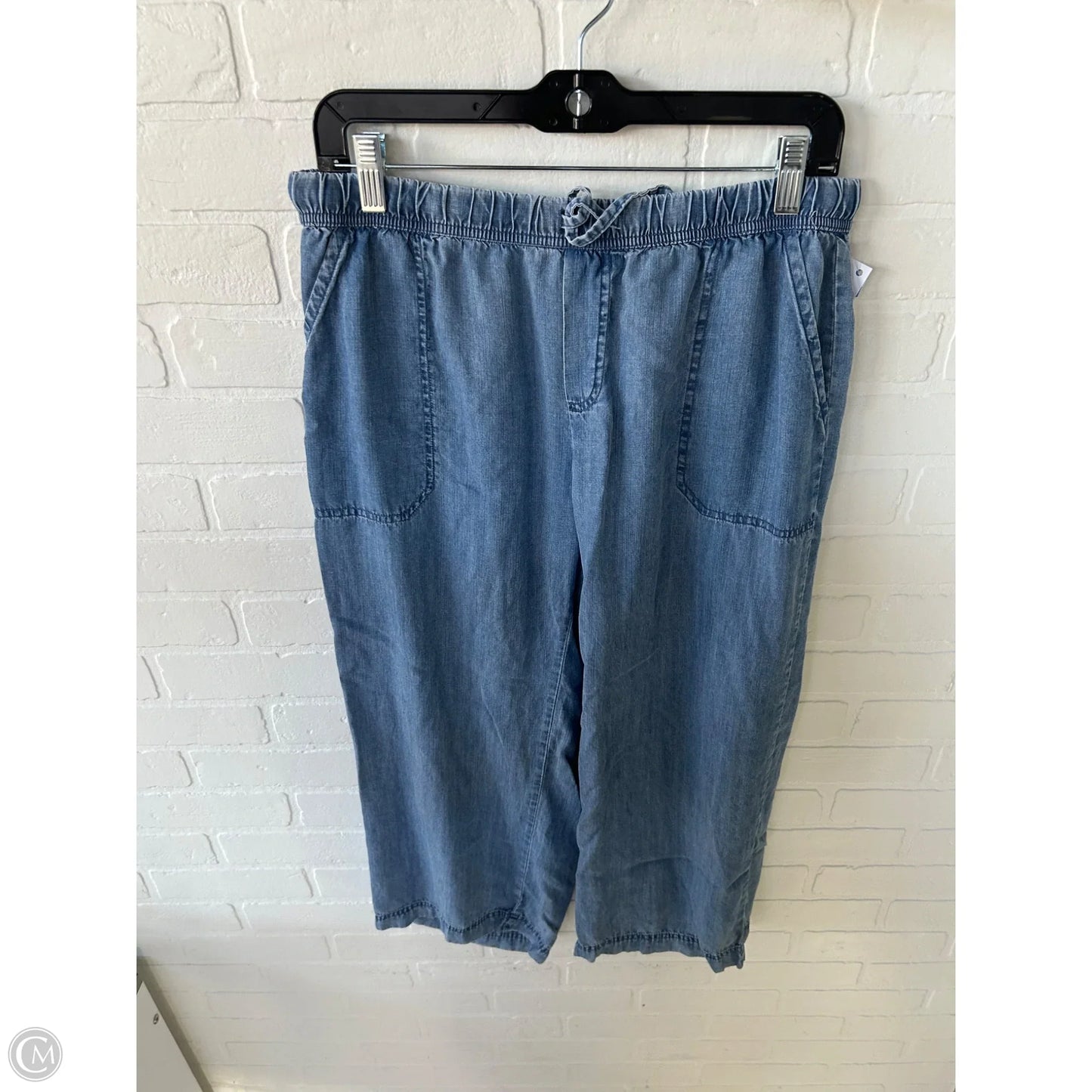 Pants Wide Leg By Splendid In Blue Denim, Size: 8